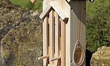 Czy na Woli (za)mieszkają motyle?