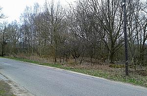 Jak planować, to z rozmachem: co postawimy przy Polnych Kwiatów?