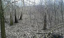 Jak planować, to z rozmachem: co postawimy przy Polnych Kwiatów?