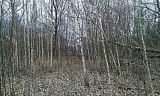 Jak planować, to z rozmachem: co postawimy przy Polnych Kwiatów?