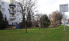 Lazurowa znów jest w Warszawie