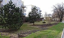 Lazurowa znów jest w Warszawie