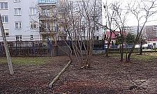 Lazurowa znów jest w Warszawie