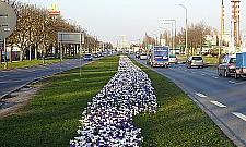 Jaka piękna jest Połczyńska w krokusach!