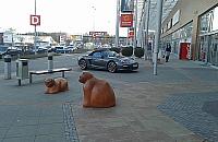 Sztuka parkowania. Kto bogatemu zabroni?