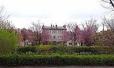 Wiosna zawitała na dawny rynek Jelonek