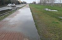 Piastów Śląskich - trzy pieczenie na jednym ogniu