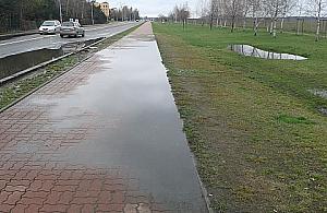 Piastów Śląskich - trzy pieczenie na jednym ogniu