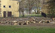 Przed ponad 70 lat było zielono. Teraz powstanie osiedle