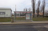 Wiaty przystankowe stoją przy ulicach... bez autobusów. Zostaną przeniesione?