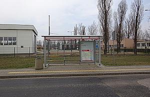 Wiaty przystankowe stoją przy ulicach... bez autobusów. Zostaną przeniesione?