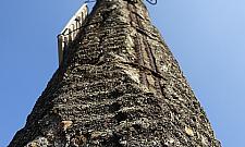 Na Kondratowicza socjalizm trwa w najlepsze