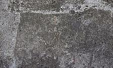 Tajemnica willi Feiner w Falenicy