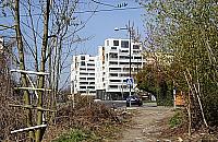 Nie wydłużą Sterniczej, bo nie chcą tego mieszkańcy