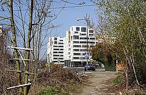 Nie wydłużą Sterniczej, bo nie chcą tego mieszkańcy