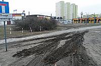 Trawnik wielofunkcyjny. Czy wszystko trzeba osłupkować?