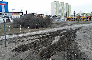 Trawnik wielofunkcyjny. Czy wszystko trzeba osłupkować?