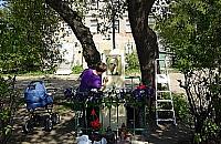 Matka Boska Smętna z Modlińskiej odświeżona