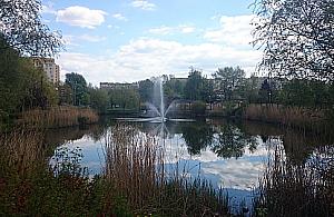 Stawy Brustmana odzyskane. Będzie rewitalizacja