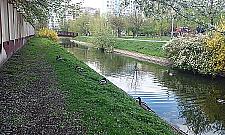 Stawy Brustmana odzyskane. Będzie rewitalizacja