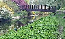 Stawy Brustmana odzyskane. Będzie rewitalizacja