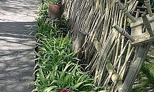 Wodnik Szuwarek: zabawa i wypoczynek