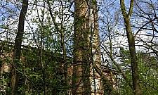 Koszmar z ulicy Karskiej: ruiny wciąż straszą a mogłyby zachwycać