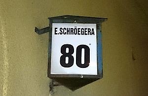 "Schroegera? Może pan przeliterować?"