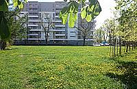 Ostatnia szansa na skwer na Odolanach?