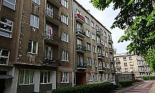 Brunatni kaci z ulicy Żelaznej