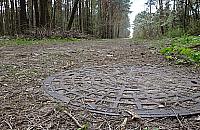 W Falenicy zbudowano kanalizację w... lesie