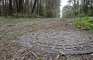 W Falenicy zbudowano kanalizację w... lesie