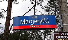 W Falenicy zbudowano kanalizację w... lesie