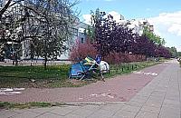 Cud na skrzyżowaniu Myśliborskiej i Ćmielowskiej