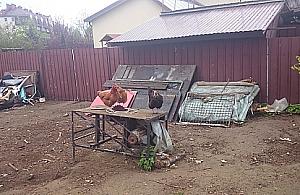 Wieś Tarchomin wciąż istnieje