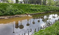 Rdza opanowała Kanał Bródnowski. Deweloper: to nieszkodliwe