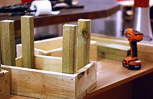 Czy wierzyć własnym oczom? Zmysłaki w BOK