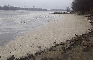 Czy(m) oczyszczalnia "Czajka" zatruwa(ła) Wisłę?