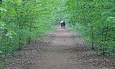 W Lesie Bemowskim spomiędzy drzew może wyjechać pociąg