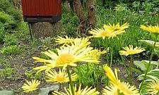 Biblioteczka w plenerze? Tylko na osiedlu Przyjaźń!