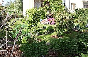 Piaski bez ogródków? PWK lekceważy emerytów