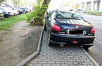 Orły parkowania opanowały Sokołowską