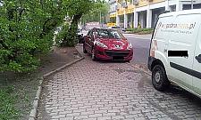 Orły parkowania opanowały Sokołowską