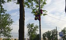 Kto zna historię krzyża z Kątów Grodziskich?