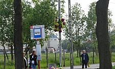 Kto zna historię krzyża z Kątów Grodziskich?