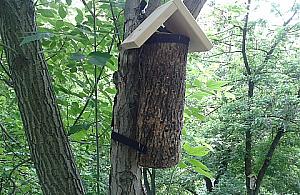 Głosowaliśmy na ule - już wiszą na Białołęce