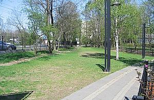 Psy pobiegają w parku Górczewska