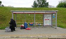 Królowie transportu publicznego