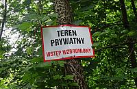 Wciąż brak pomysłu na park Wiśniewo