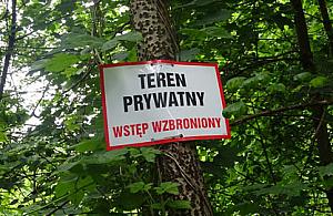 Wciąż brak pomysłu na park Wiśniewo